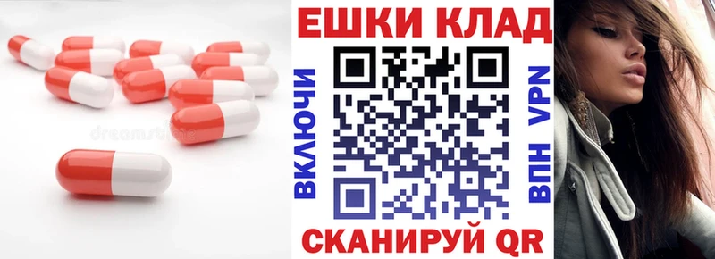 omg ссылки  купить наркотики цена  Новотитаровская  Ecstasy Philipp Plein 