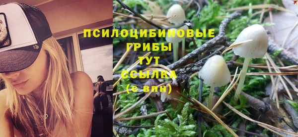 героин Лагань