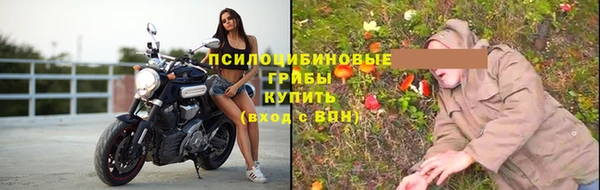 ПСИЛОЦИБИНОВЫЕ ГРИБЫ Ладушкин
