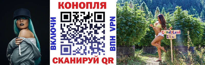 Каннабис Amnesia Новотитаровская